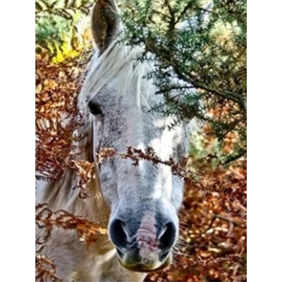 Бял кон 30/40 см