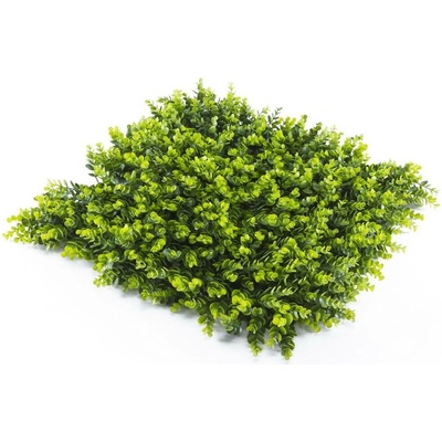 Umělý živý plot BUXUS SEMPERVIRENS, dílec 50x50cm