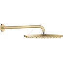 GROHE 26066GN0 Rainshower Cosmopolitan 310