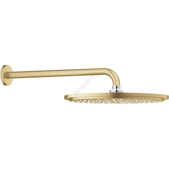 GROHE 26066GN0 Rainshower Cosmopolitan 310