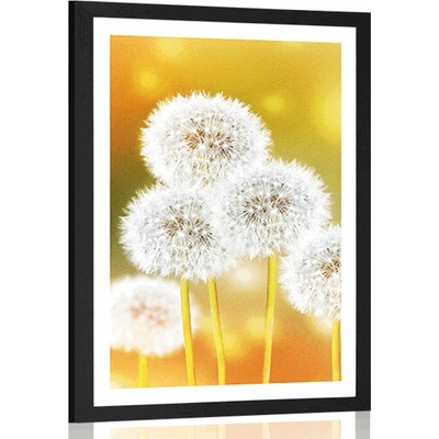 Plakát s paspartou nadýchaná pampeliška - 40x60 no frame