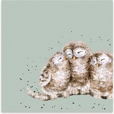 Wrendale Designs Papírové ubrousky Owl Together Sovy 24x24cm