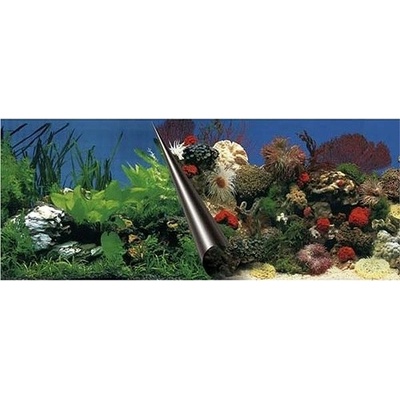 Europet Bernina Photo Decor Stone + Coral 120 x 50 cm