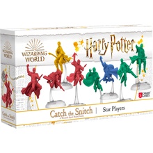 Harry Potter: Catch the Snitch Star Players Expansion