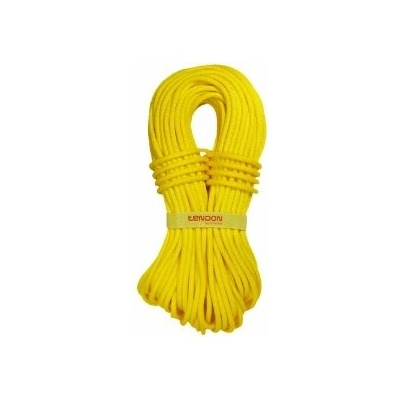 Tendon Ambition 9,8 STD 30 m