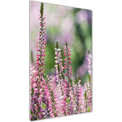 Vertikálny foto obraz sklo tvrdené Vres 50x100 cm