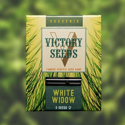 Victory Seeds White Widow semena neobsahují THC 5 ks