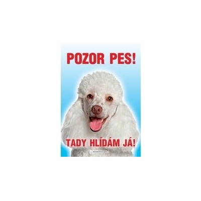 Grel Tabulka pozor pes pudl bílý