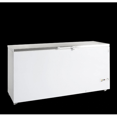Tefcold FR 605 S SL