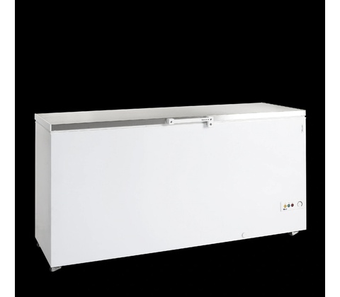 Tefcold FR 605 S SL