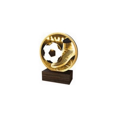 Poháry Bauer Dřevěná plaketa TFRW506 Fotbal