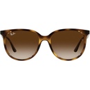 Image 1 of Ray-Ban RB4378 710/13
