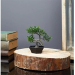 Iris E5688 BONSAI декорация с изкуствени цветя в саксия 10x13cm (E5688)