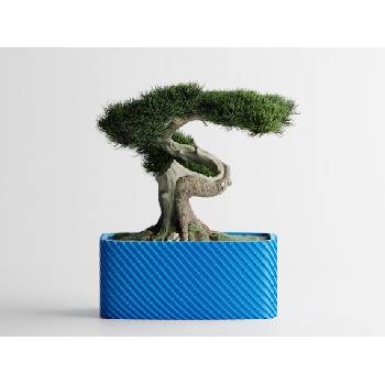 Кашпа Bonzai малка син