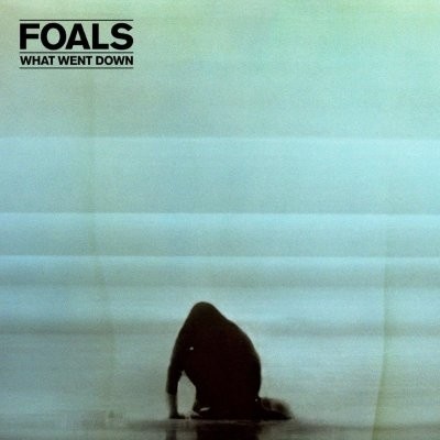 FOALS: WHAT WENT DOWN DVD