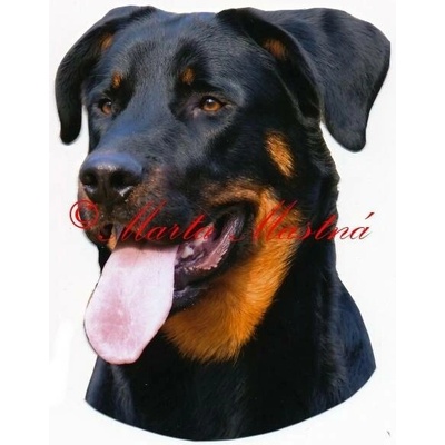 Samolepka beauceron 25 - archiv