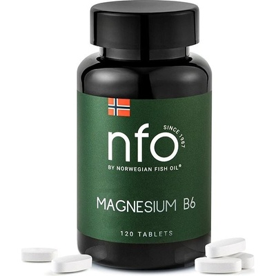 NFO Magnesium B6 120 tablet