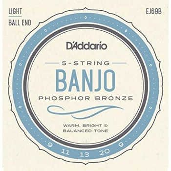 D'Addario EJ69B