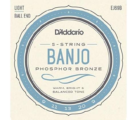 D'Addario EJ69B
