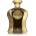 Afnan HIGHNESS X BROWN EDP 100 ml - Парфюм за жени и мъже