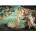 Piatnik 1000 Botticelli Puzzle, Birth of Venus PIATNIK