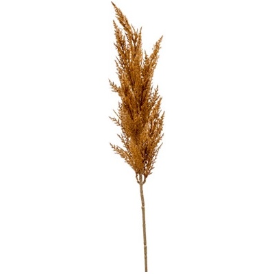 Grass pampas Branch orange 92 cm