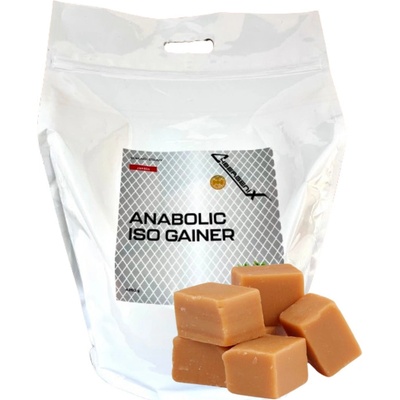 Cybergenix ANABOLIC ISO GAINER 4250 g