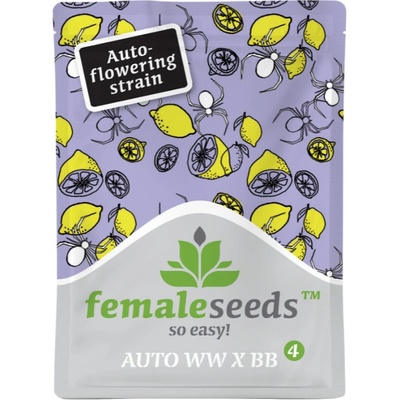 Female Seeds White Widow x Big Bud AUTO semienka neobsahujú THC 4 ks