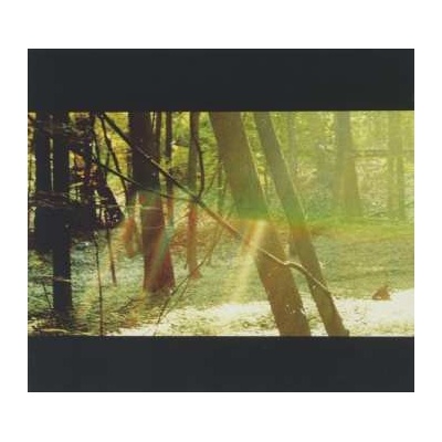 CHILDISH GAMBINO Camp CD