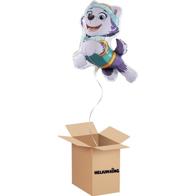 HeliumKing Balónový box Paw Patrol Everest
