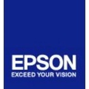 Epson C13S041379