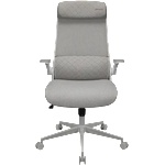 COUGAR COUGAR Stryder White Gaming Chair (CGR-STD-ASW) - xtreme
