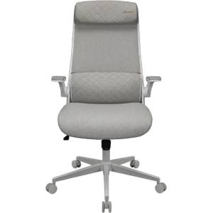 COUGAR COUGAR Stryder White Gaming Chair (CGR-STD-ASW) - xtreme