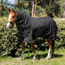 EQS Deka výběhová PROFI s odnímatelným krkem Light černá