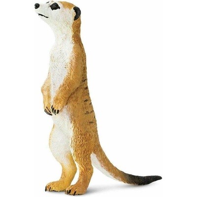 Safari Surikata