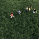 Parcels: Loved LP