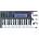 Novation FLkey 37 SET Миди клавиатура (FLKEY-37-SET)