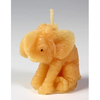 Pleva Slon 4,3 cm