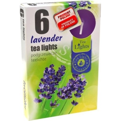Admit Tea Lights Lavender 6 ks