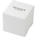 Skagen SKW6860