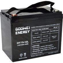 GOOWEI ENERGY 12V/75Ah OTL75-12