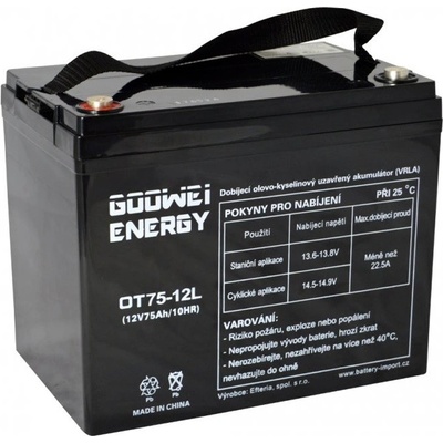 GOOWEI ENERGY 12V/75Ah OTL75-12