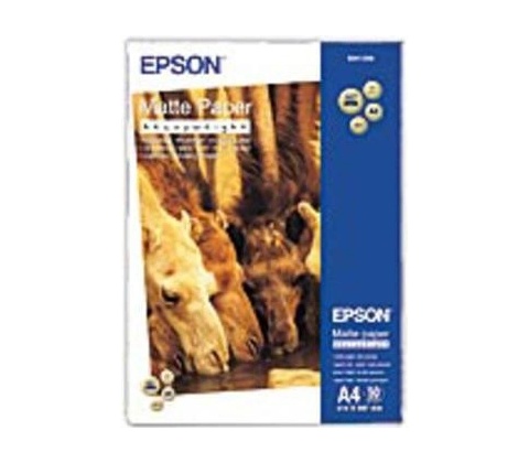 EPSON 501198