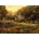 Grafika Art Puzzle - Puzzle Chuck Pinson - The Golden Valley - 500 piese