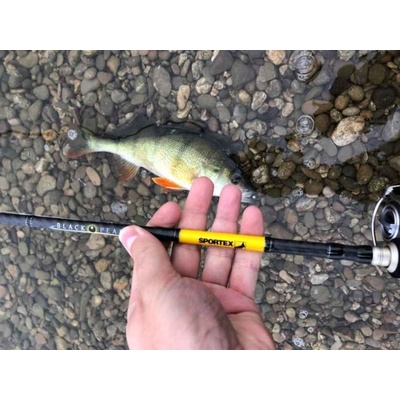 SPORTEX Black Pearl GT-3 2,1 m 20 g 2 diely