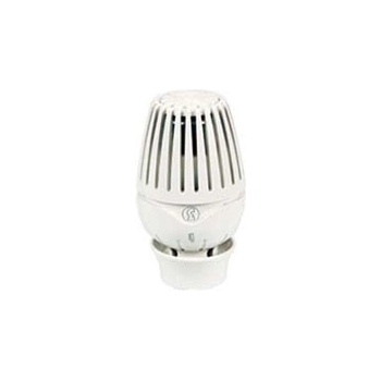 GIACOMINI R460
