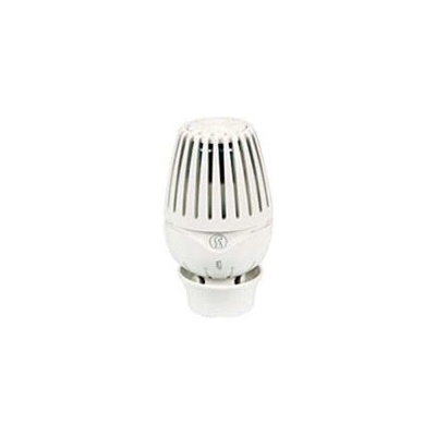 GIACOMINI R460