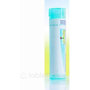 Calcarea Phosphorica gra.1 x 4 g 200CH