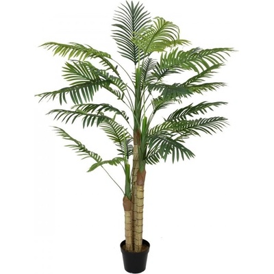 Palma Areca, 3 kmeny, 150 cm