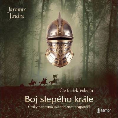 Multiland Boj slepého krále (Radek Valenta) - CD (MP3) (051415)